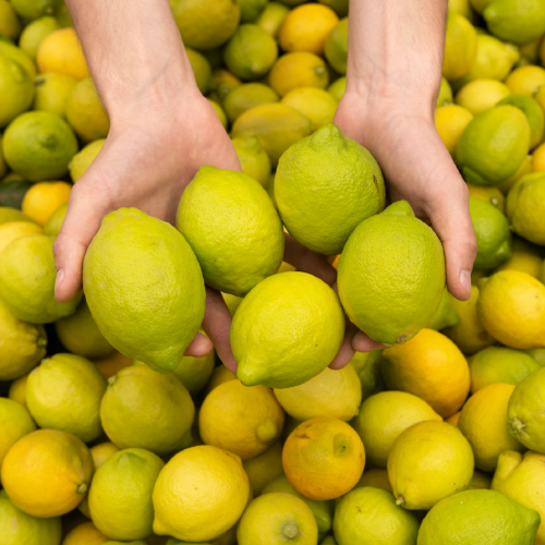 Agribio citrons