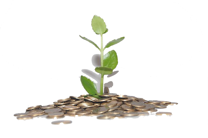 sous-plante sous-plante